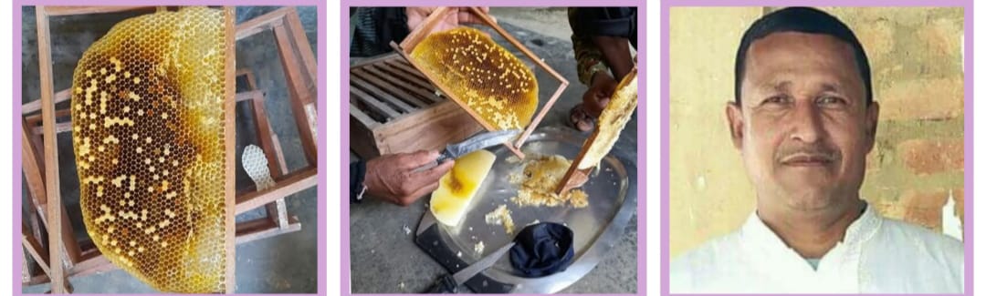 বড়লেখায় মৌ চাষে সফল ইসলাম উদ্দিন